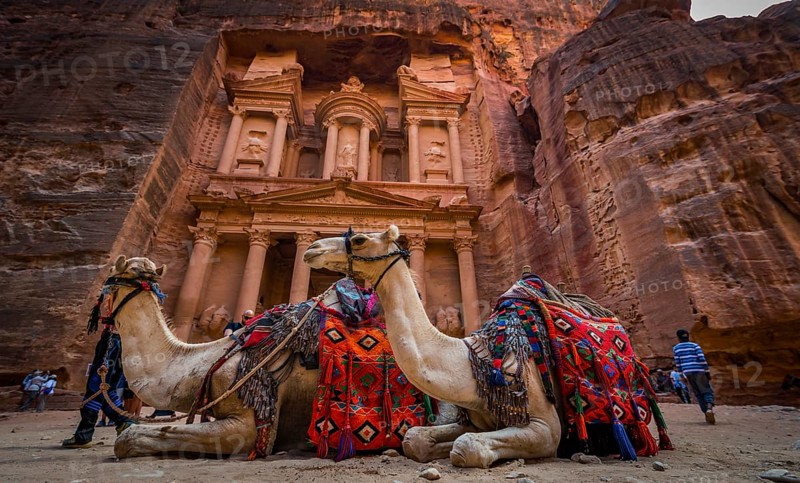 Dromedaries in front of the Pharaoh's treasure house carved out of rock