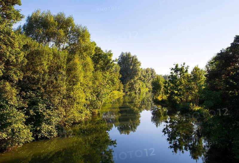 Altmuhl River with forest reflection