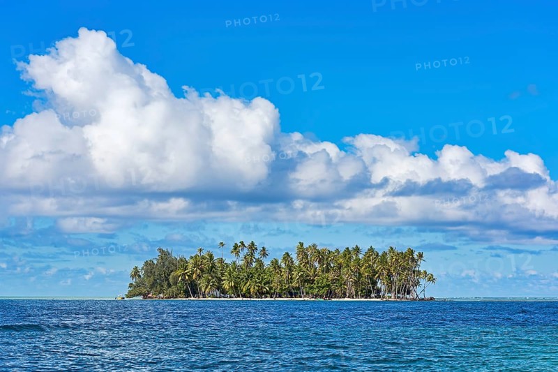 Small deserted island with palm trees