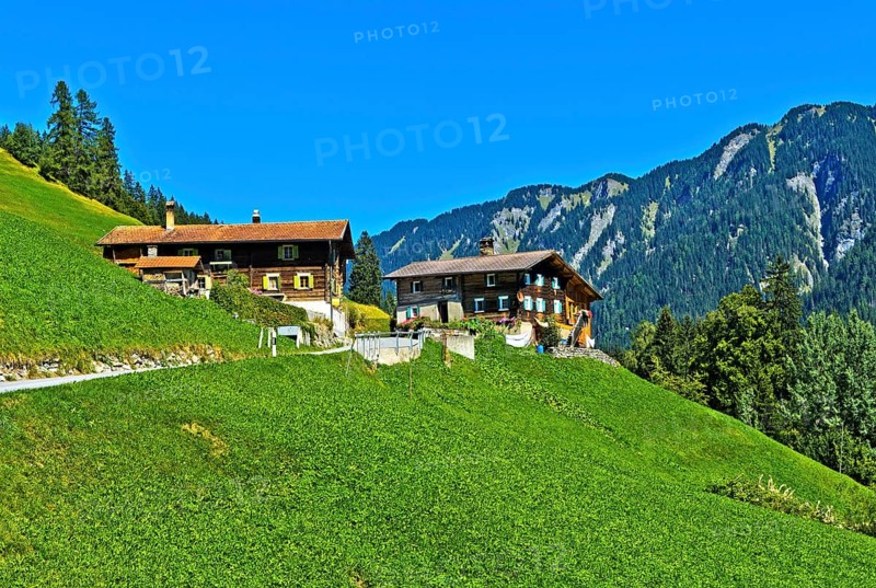 Farmhouses on the slope