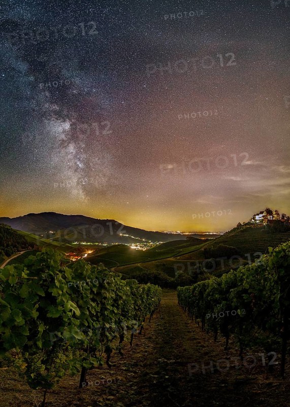 Milky Way over wine growing region