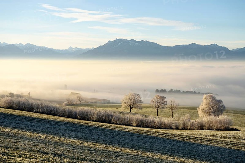 Foggy atmosphere