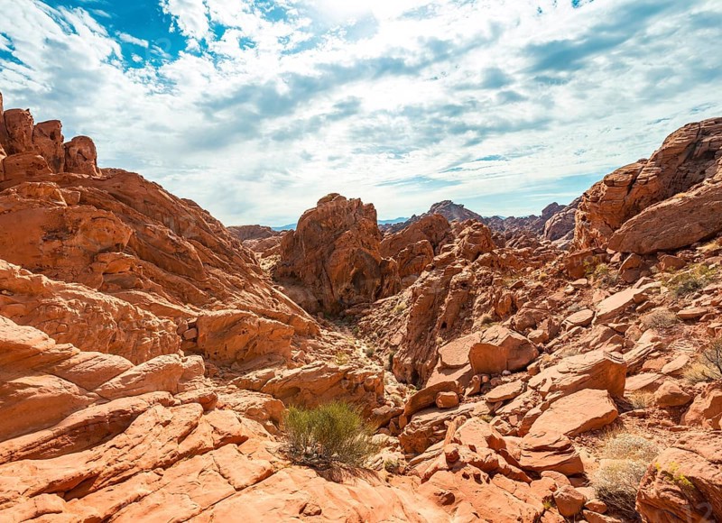 Rainbow Vista Trail