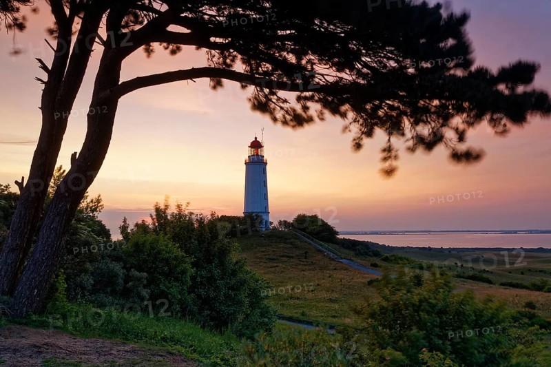 Lighthouse Dornbush on the Schluckwieksberg