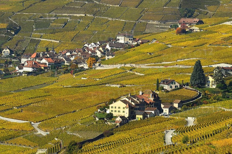 Vineyards in autumn with view of winemaking villages Epesses and Riex