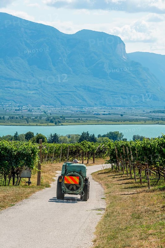 Vineyard vehicle for spraying between vines