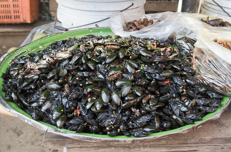 Cockroaches the market