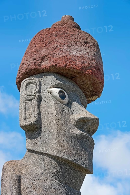 Moai in the Ahu Tahai Complex