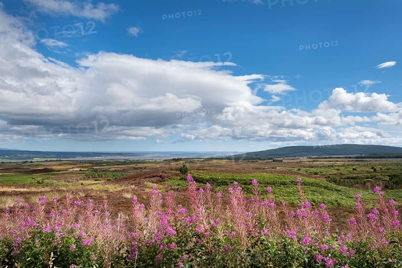 View from the viewpoint Struie Hill