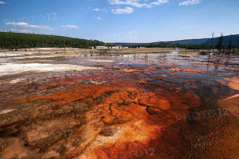 Mineral deposits in Biscuit Basin