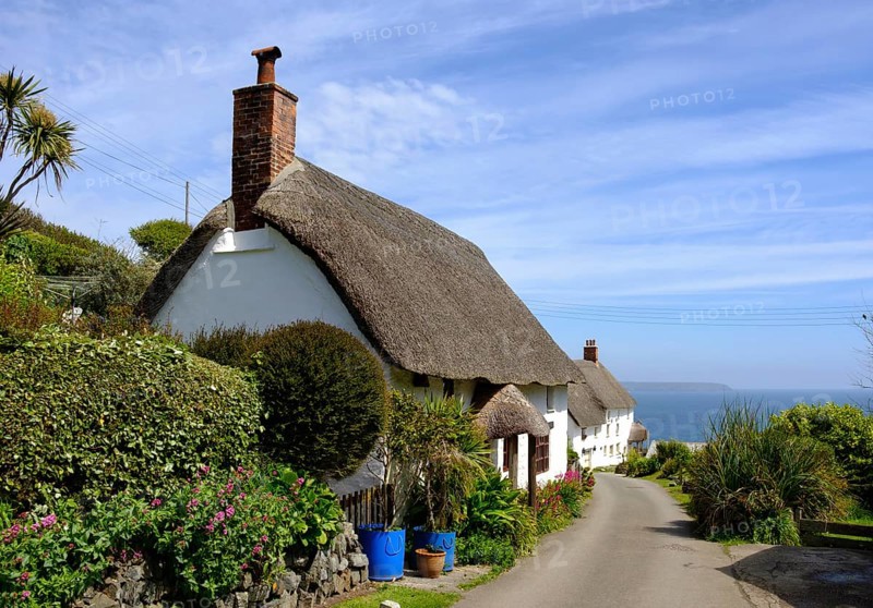 Traditional thatched houses