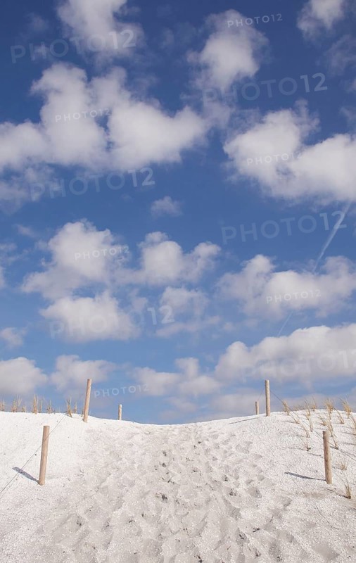 Dune from mussel sand