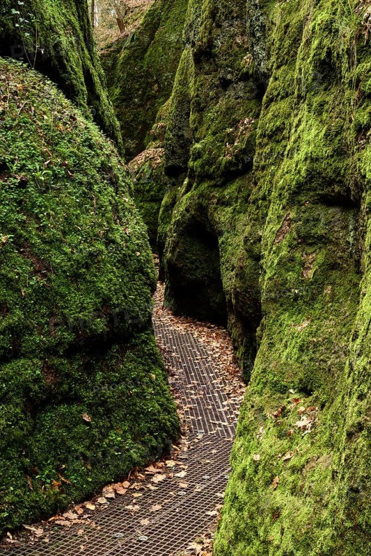 Canyon Drachenschlucht