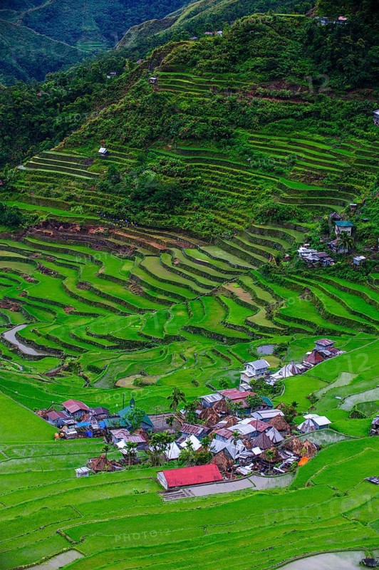 Batad rice terraces