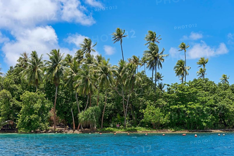 Palm beach on Raiatea