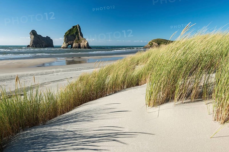 Grassy dune rock island Wharariki Beach