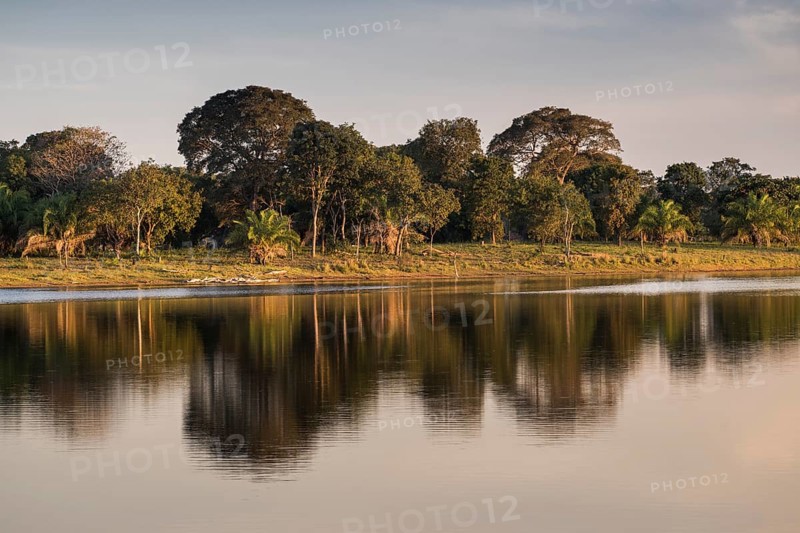 Landscape in the southern Pantanal