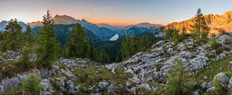 Panorama