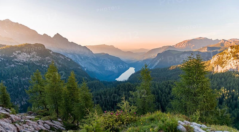 Panorama