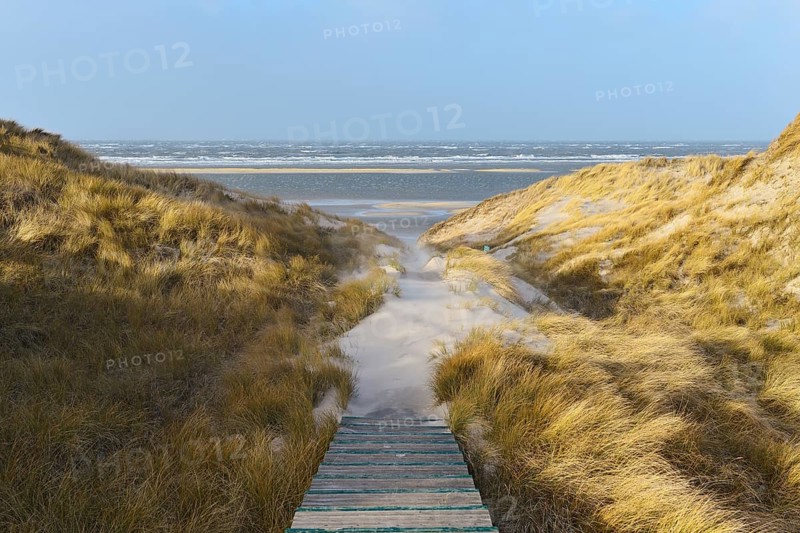 Sandy boardwalk on the dunes