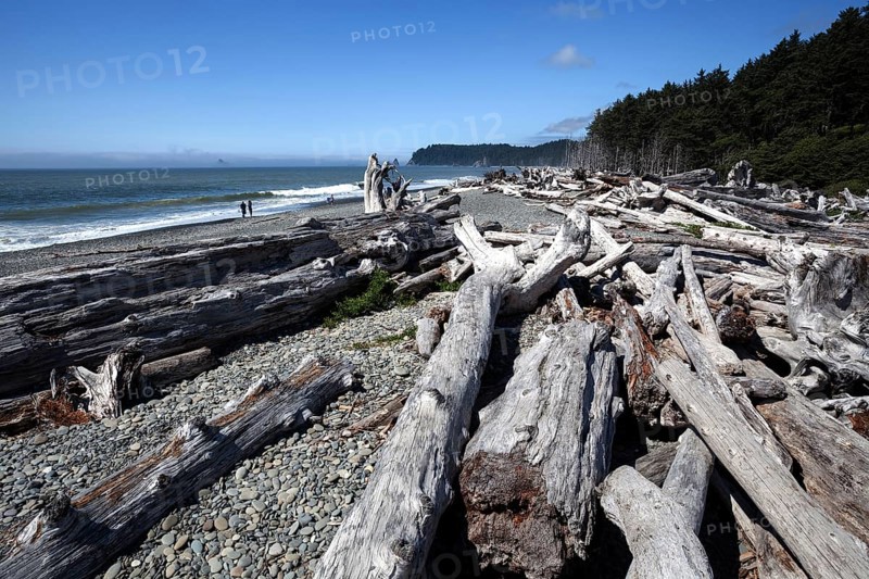Driftwood at Rialto Beach near La Push
