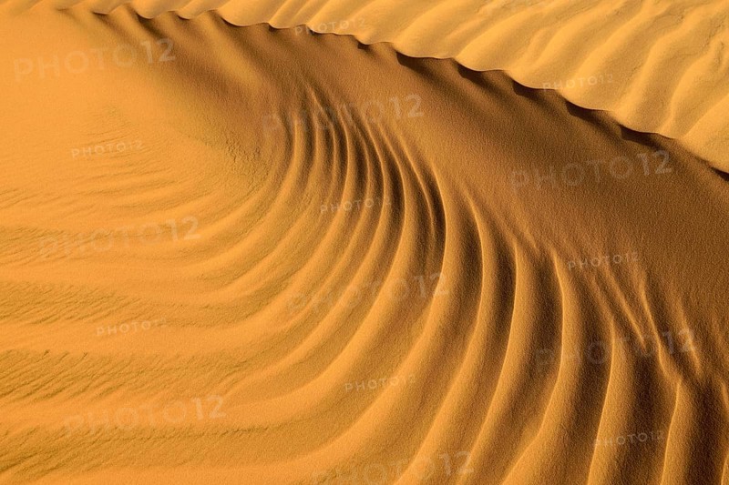 Sand ripples in the sanddunes of Al Khaluf desert