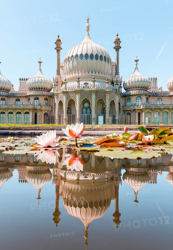 Water lilies in a pond in front of Royal Pavilion Palace