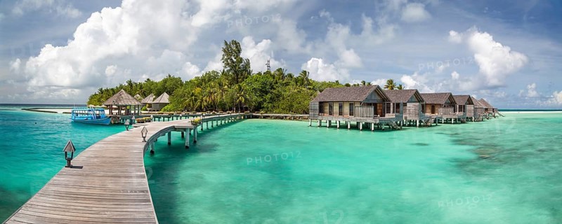 Tropical Island