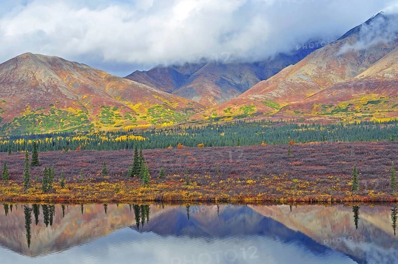 Colorful autumn landscape