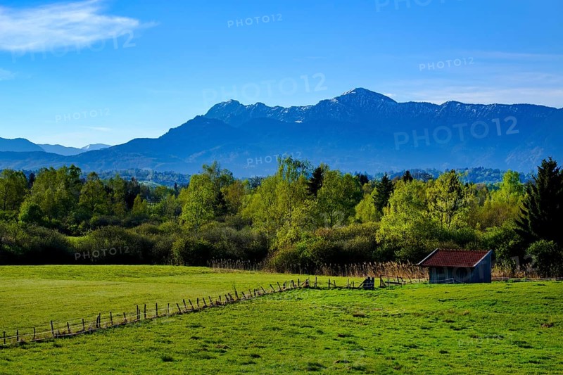 Murnauer Moos with Alps