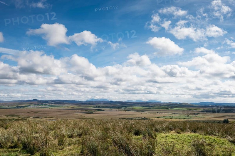 Grass landscape on the Isle of Islay