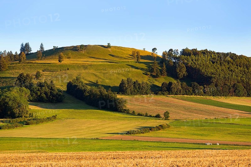Gelber Berg