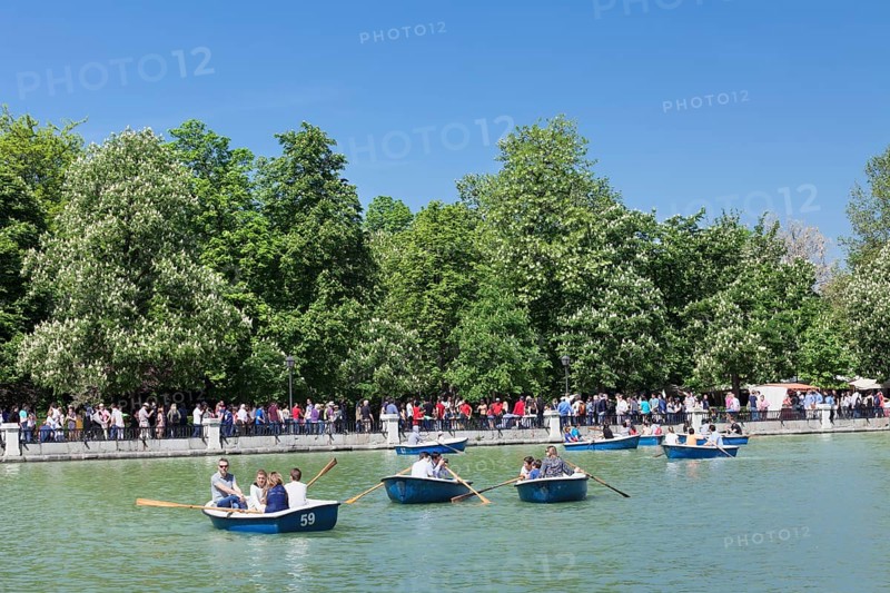 Rowing boats on the lake Estanque del Retiro