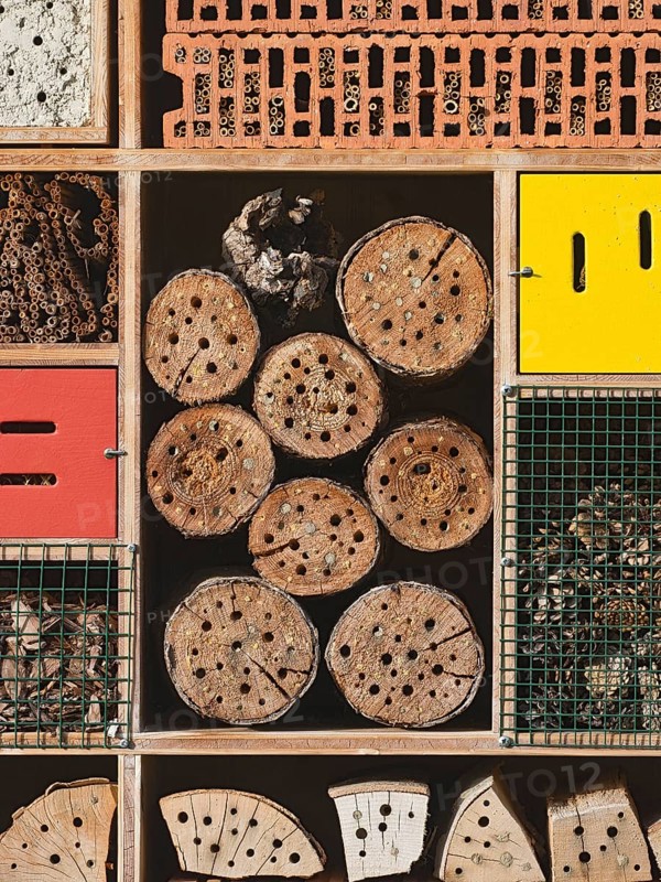Insect hotel