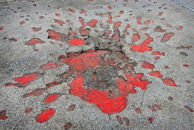 Sarajevo Roses