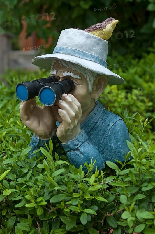 Figure with bird on hat and binoculars looking over a hedge