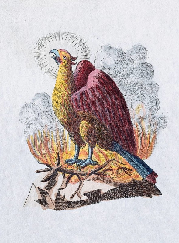 Phoenix