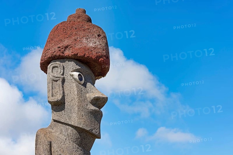 Moai in the Ahu Tahai Complex