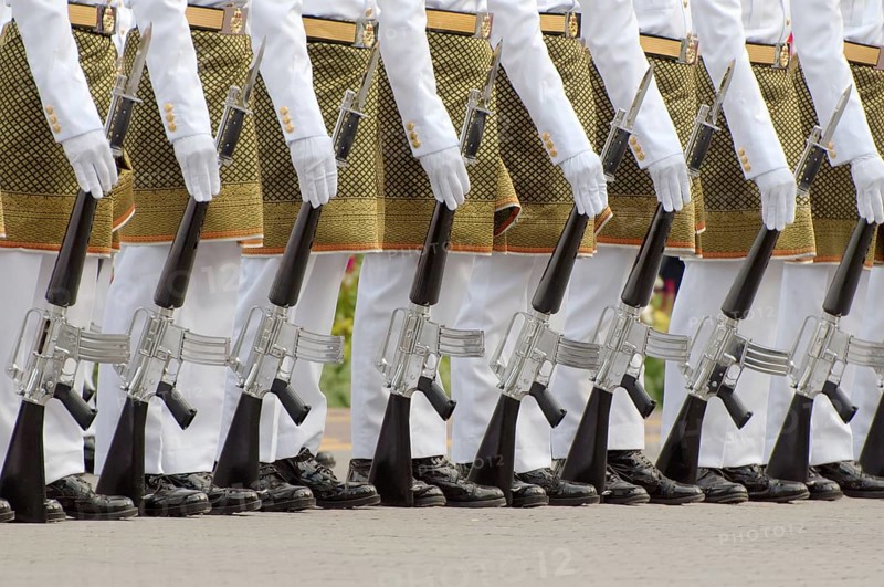 Royal guards with guns