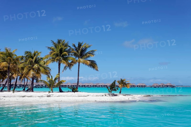 Small peninsula with coconut palms in the turquoise sea