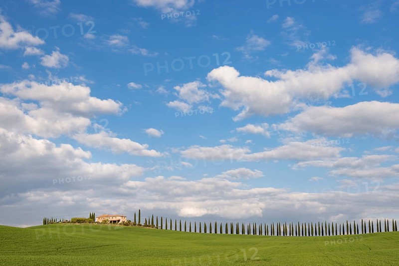 Country estate Poggio Covili with road lined with cypress trees