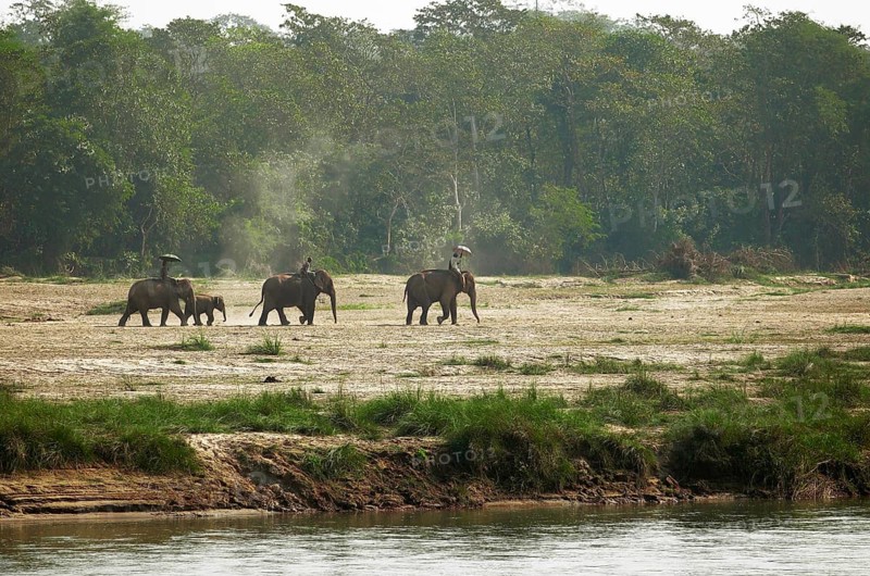Morning elephant ride on the Rapti River