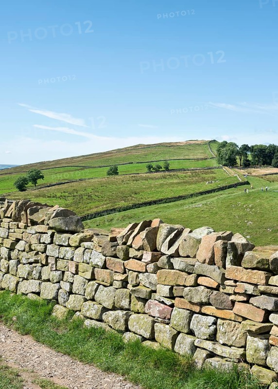 Hadrian's Wall at Haltwhistle