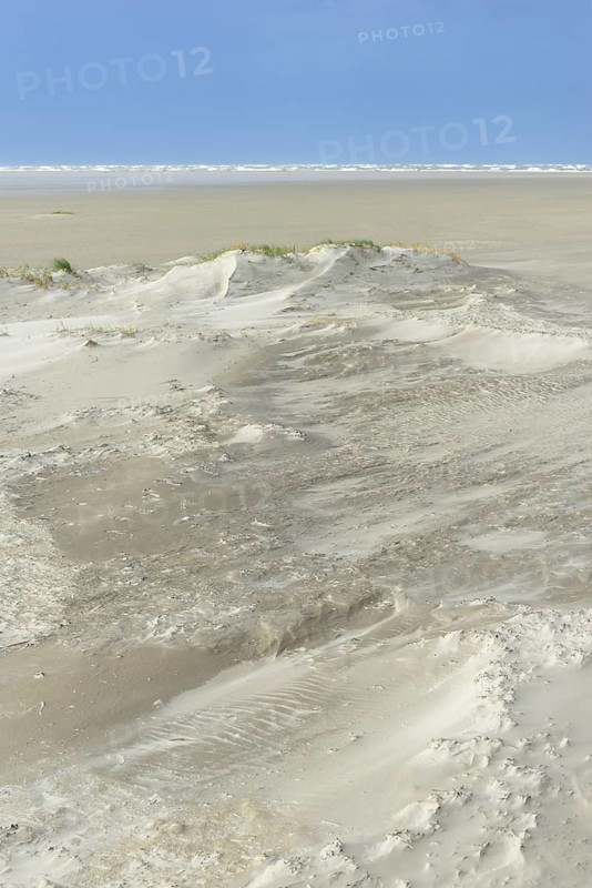 Foredunes with sand drifts