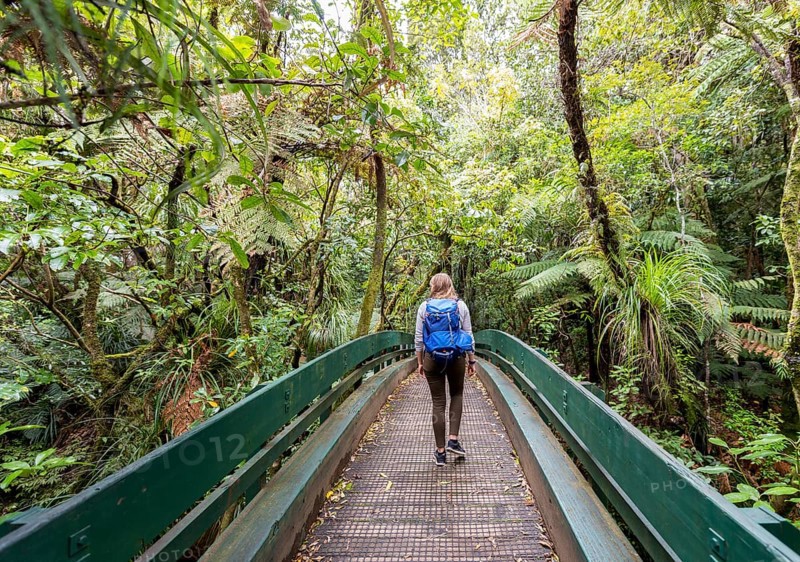 Woman walking along path through the rainforest