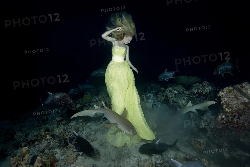 Beautiful woman in yellow dress posing underwater with Tawny nurse sharks