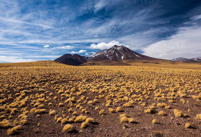 Andean Plain