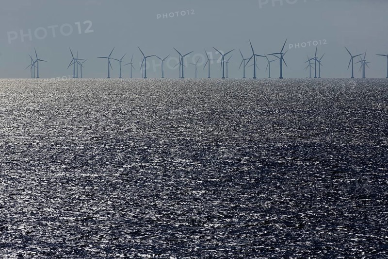 Offshore wind farm