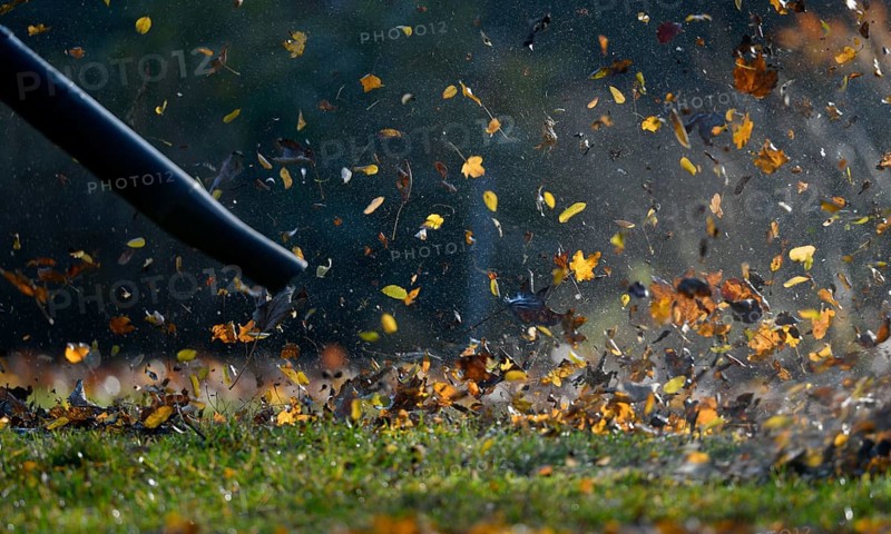 Leaf blower blows autumn leaves
