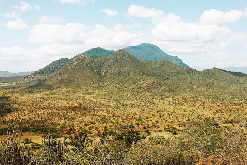 Ngulia Hills